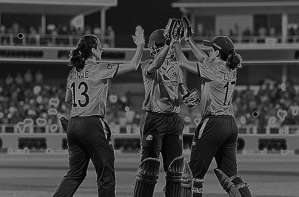 ১৬.৫ ওভারে ১১৩: নালন্দার স্কুল ক্রিকেট জয়ের ফরেনসিক পাঠ, এবং তার সীমারেখা